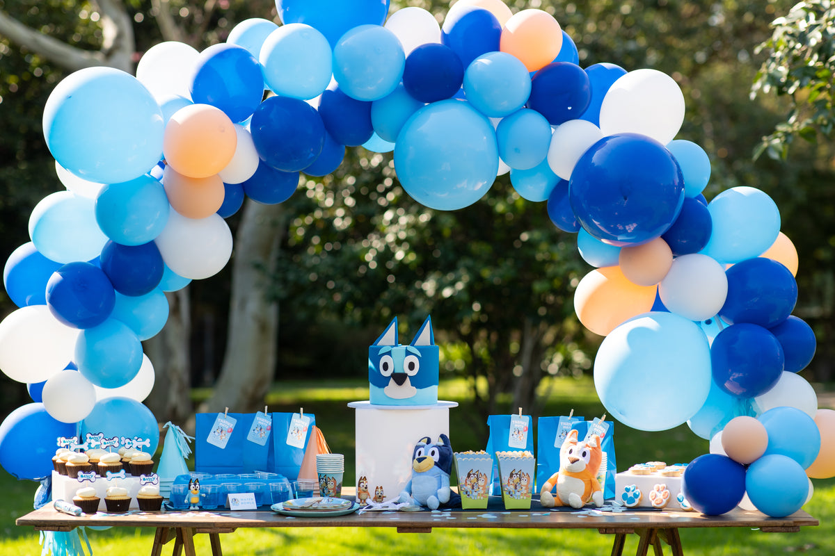 Bluey Party Theme Pack – Little Party Packs