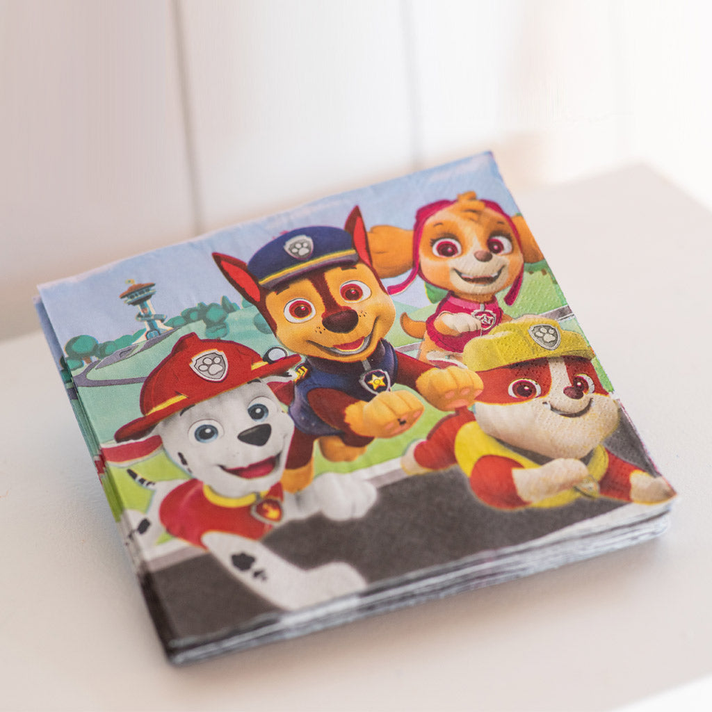Paw Patrol Themed Party Pack – Little Party Packs